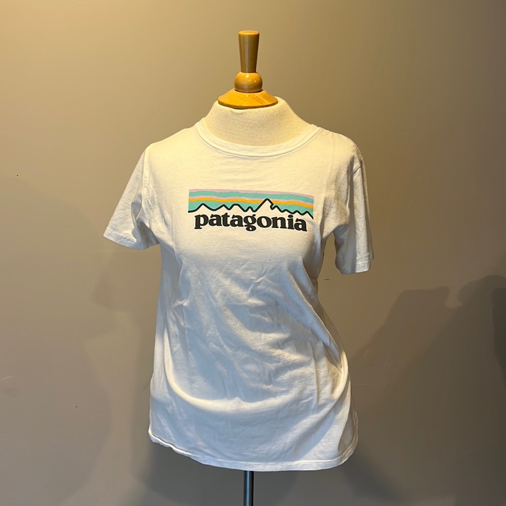 Patagonia Tee